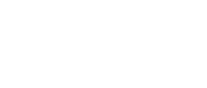 zyn